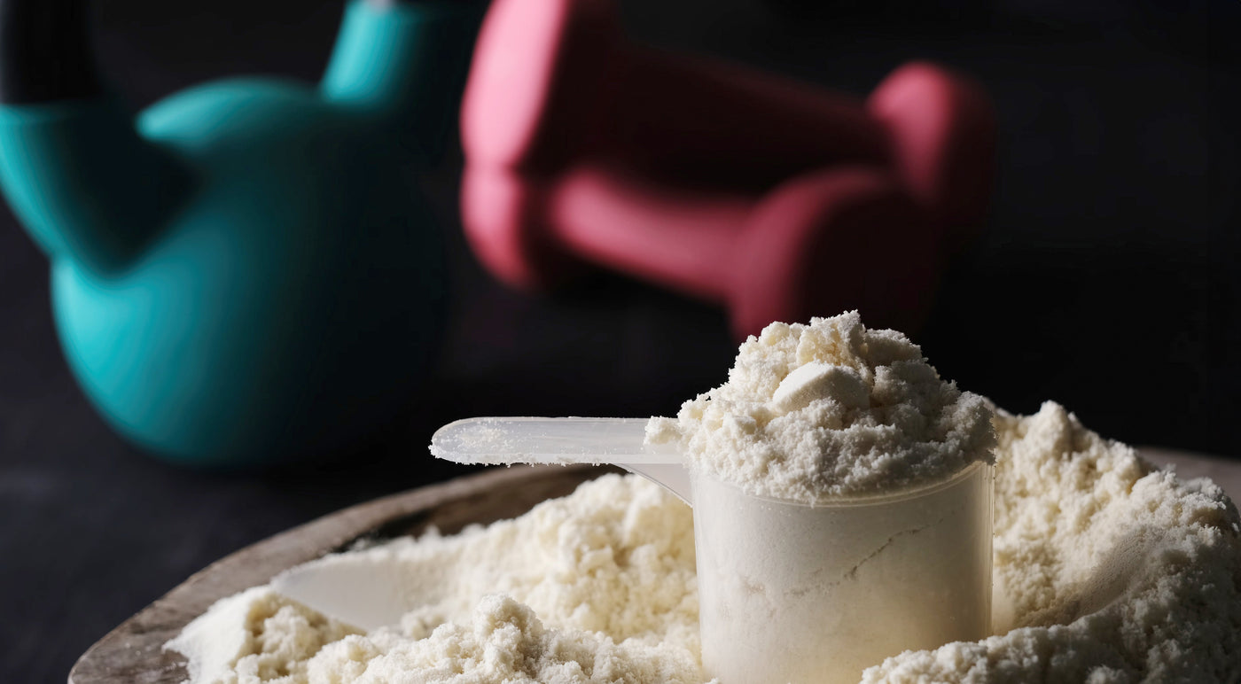 What’s the Best Protein Powder? The Case for HydroBEEF™ Over Whey and Plant-Based Option