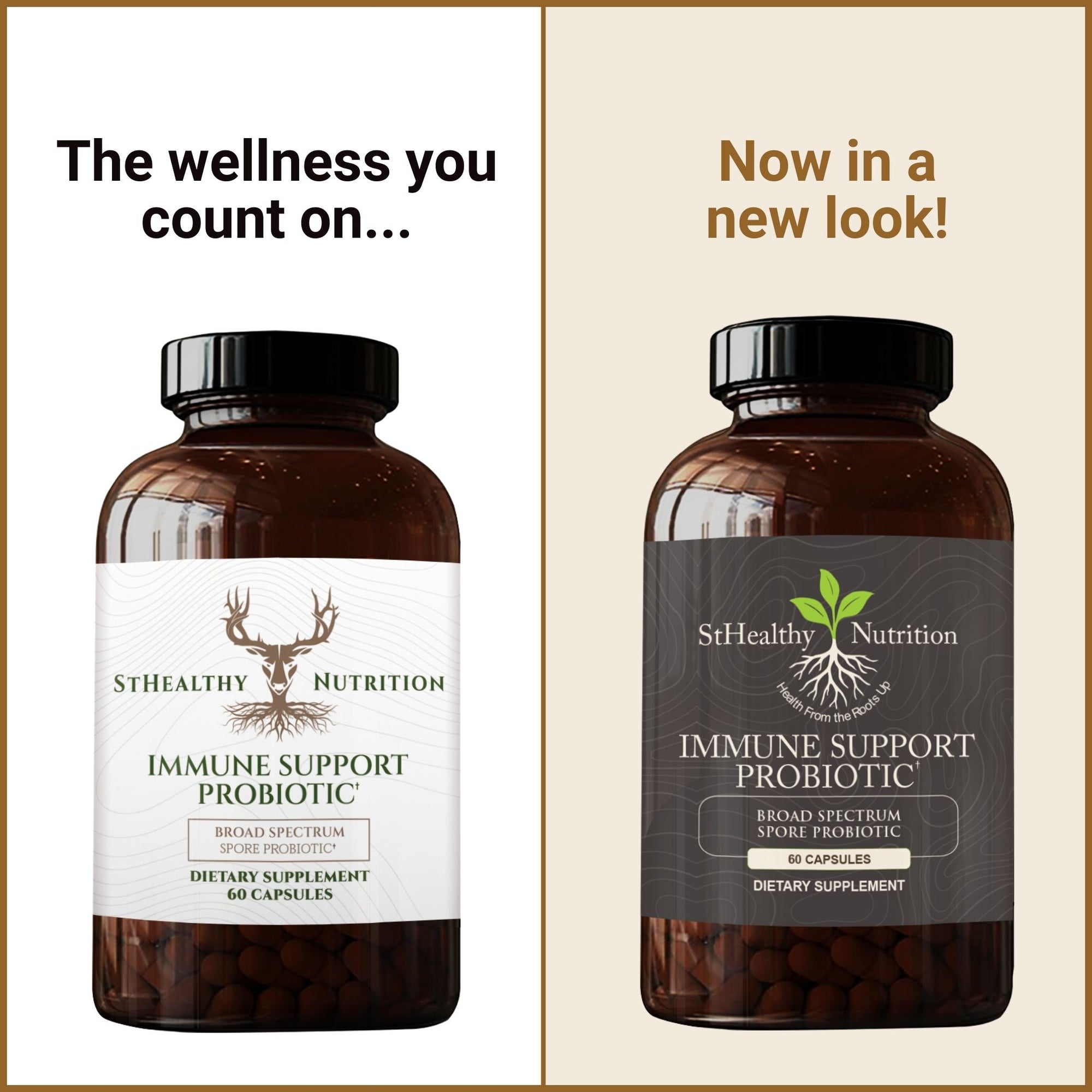 Immune Support Probiotic – Gut & Immune Health