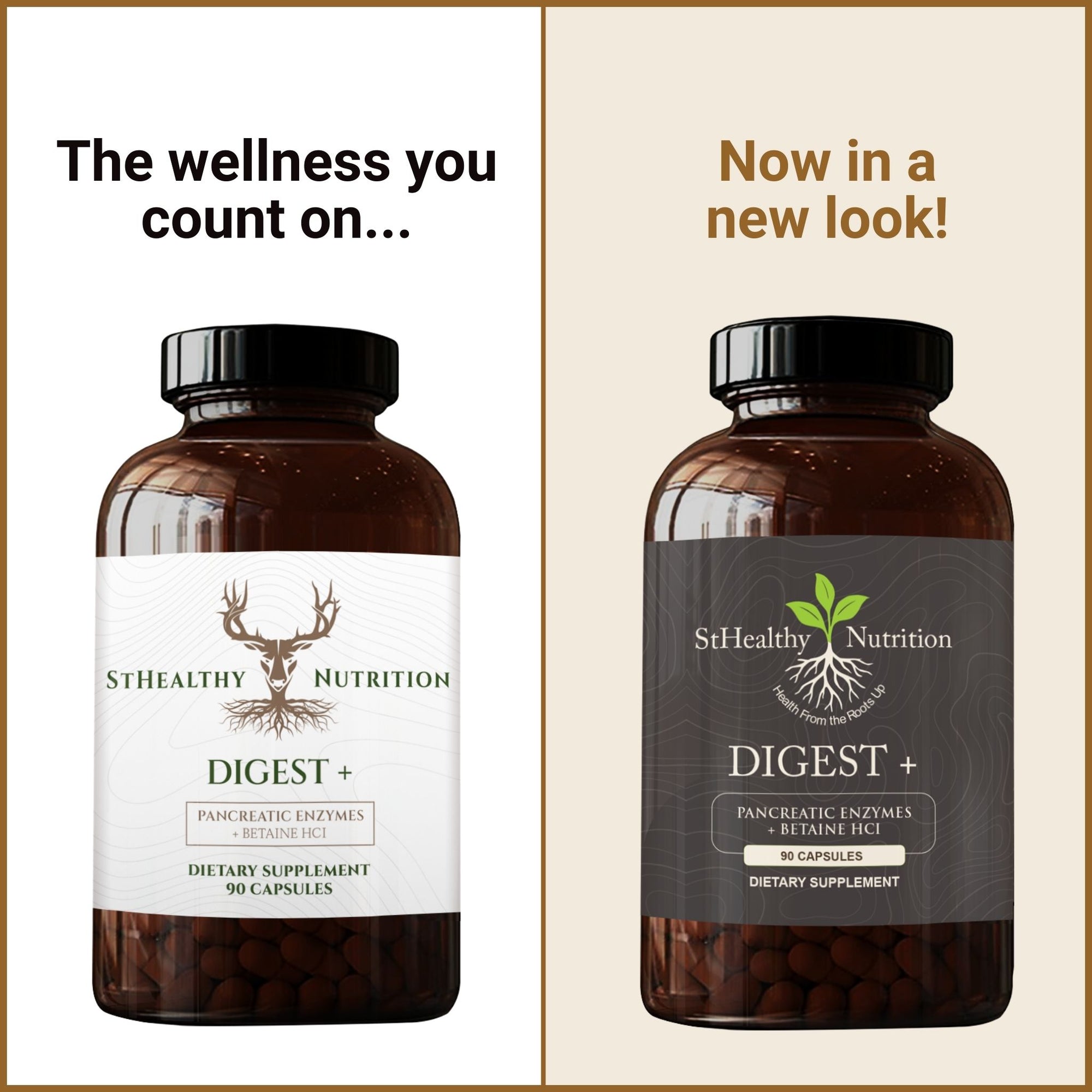 Digest Plus - Enzymes for Nutrient Absorption