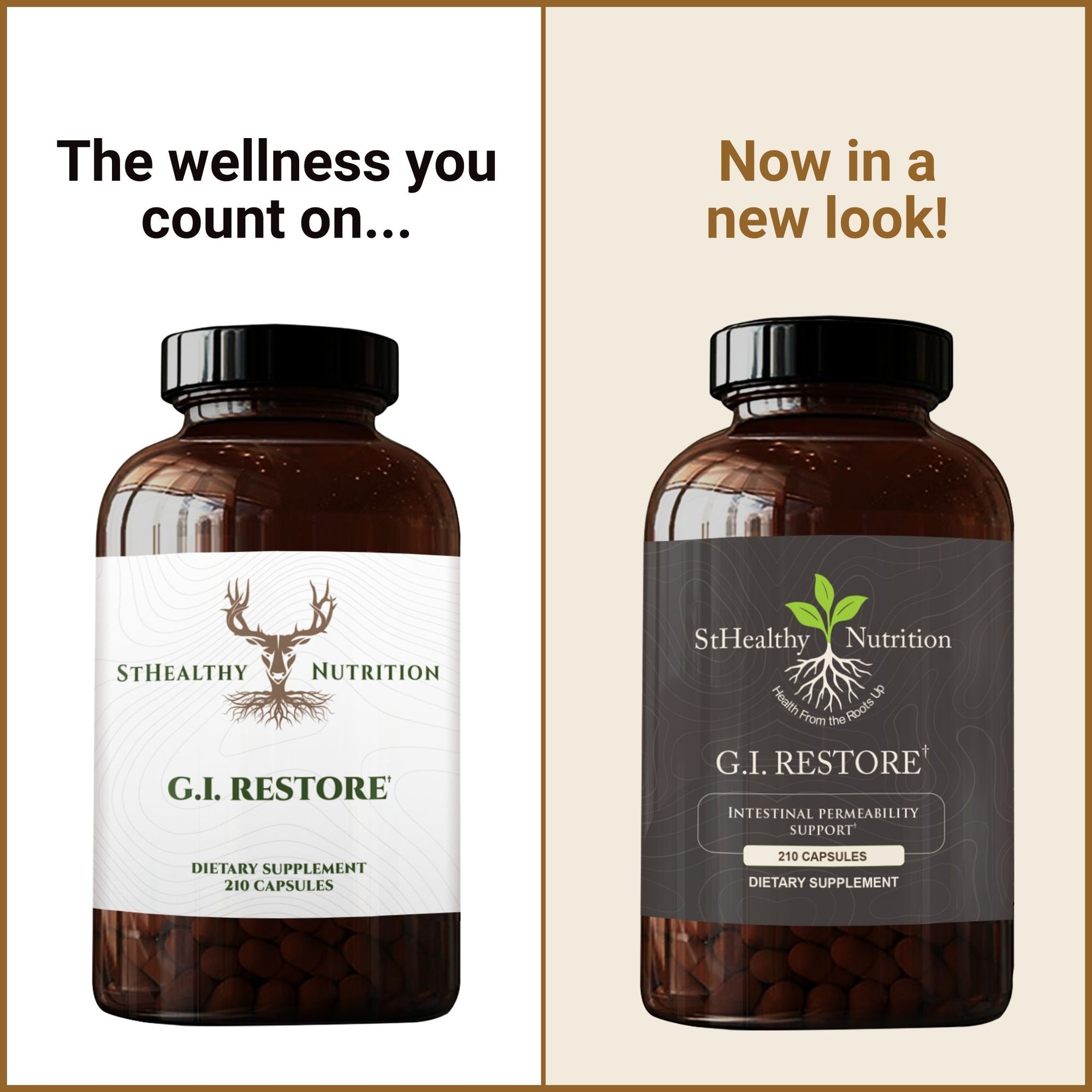 GI Restore – Gut Lining & Mucosal Support