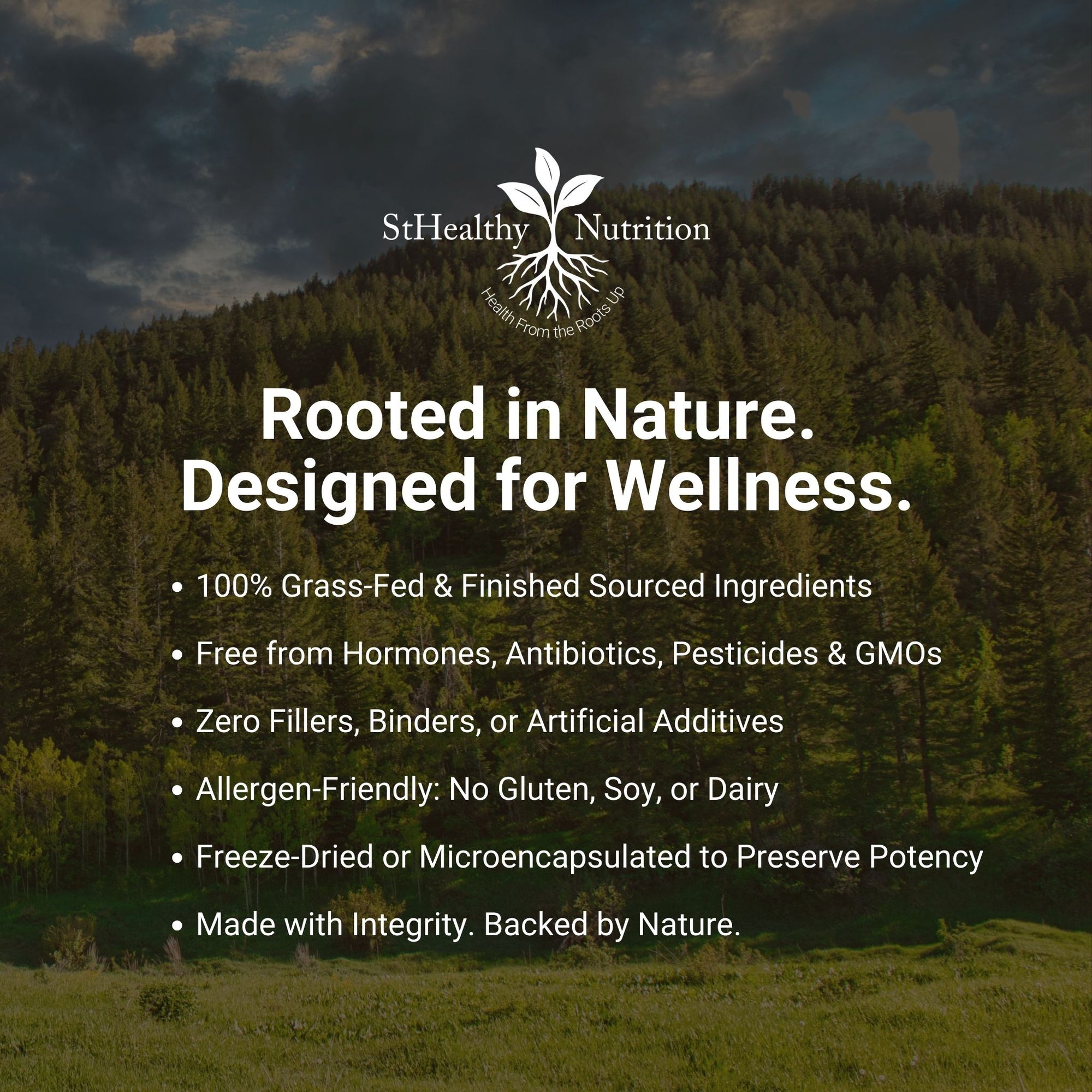 Immune Charge Electrolyte – Hydration & Stress Recovery